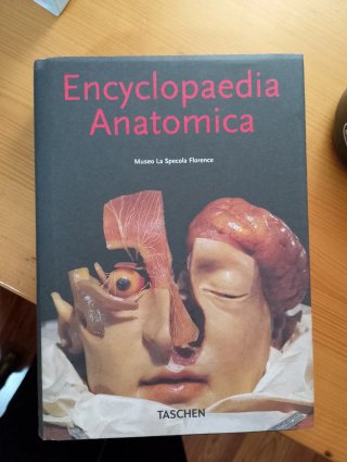 Enciclopedia anatomica