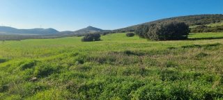 Actividades cinegeticas finca rustica