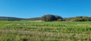 Actividades cinegeticas finca rustica