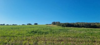 Actividades cinegeticas finca rustica