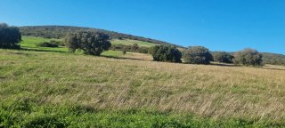 Actividades cinegeticas finca rustica