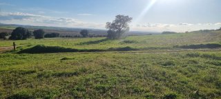 Actividades cinegeticas finca rustica