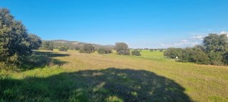 Actividades cinegeticas finca rustica