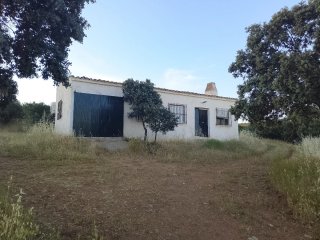 Actividades cinegeticas finca rustica