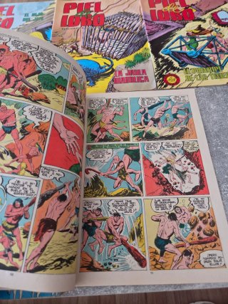 Coleccion Comics Piel de Lobo 1980