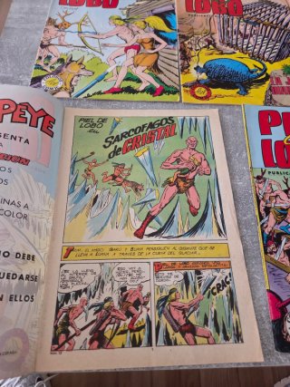 Coleccion Comics Piel de Lobo 1980