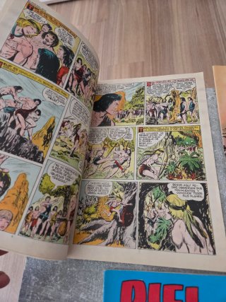 Coleccion Comics Piel de Lobo 1980