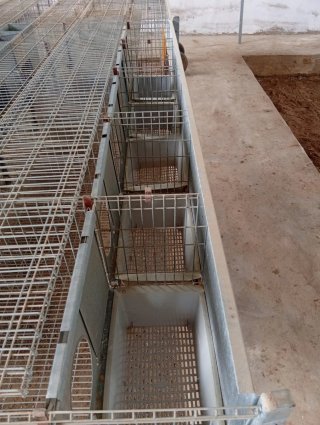 Jaulas para conejos y accesorios