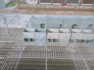Jaulas para conejos y accesorios