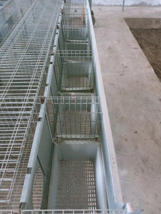 Jaulas para conejos y accesorios