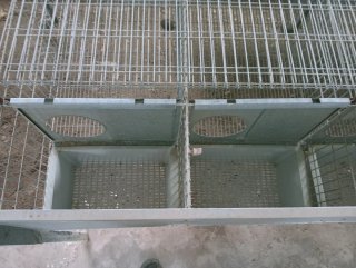 Jaulas para conejos y accesorios