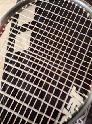 Raqueta de tenis Wilson con funda Babolat