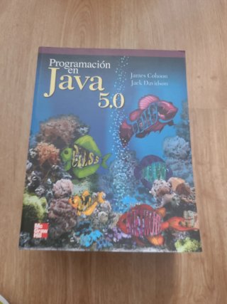 Programación en Java 5.0
