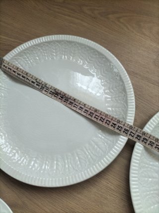 6 platos,4 platos Santa Clara y 2 Pontesa