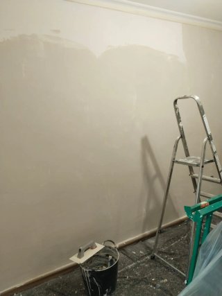 PINTOR PROFESIONAL