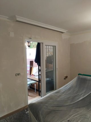 PINTOR PROFESIONAL