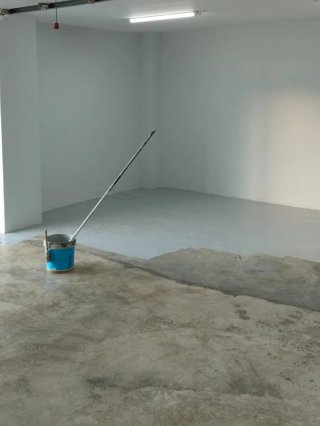 PINTOR PROFESIONAL