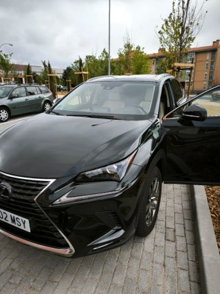 Lexus NX 2019
