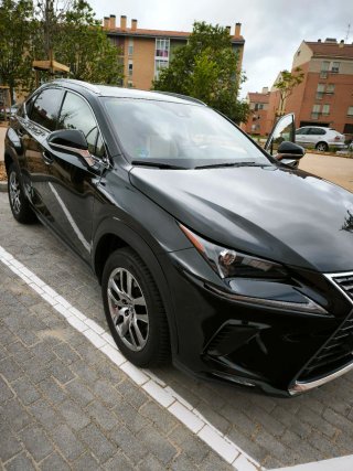 Lexus NX 2019