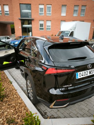 Lexus NX 2019