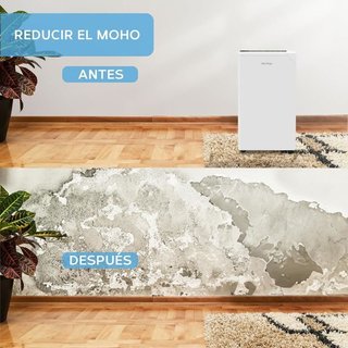 Deshumidificador 20 Litros día WiFi NUEVO