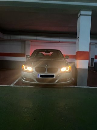 BMW Serie 3 2010
