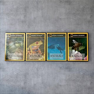 Lotto 20 DVD Documentari  National Geographic