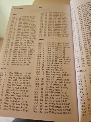 Biblia turquesa