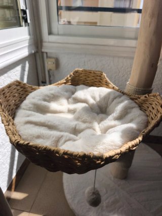 Árbol rascador para gatos.Nuevo en caja sin montar