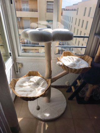 Árbol rascador para gatos.Nuevo en caja sin montar