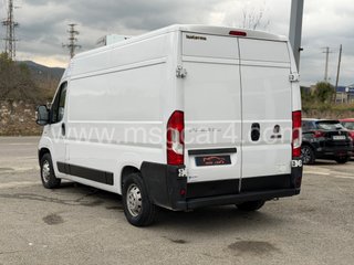 FIAT Ducato Frigo 140cv 2021