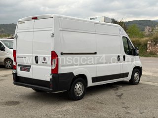 FIAT Ducato Frigo 140cv 2021