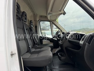 FIAT Ducato Frigo 140cv 2021