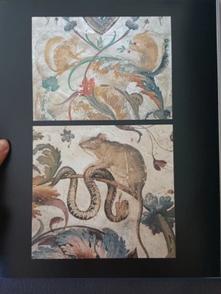 Pack 5 Libros Arte