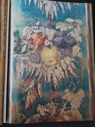Pack 5 Libros Arte