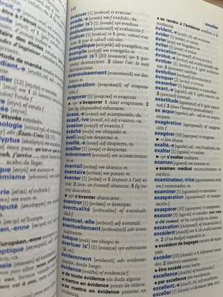 Diccionario Esencial Español-Francés