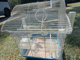 Jaula para pájaros con accesorios.