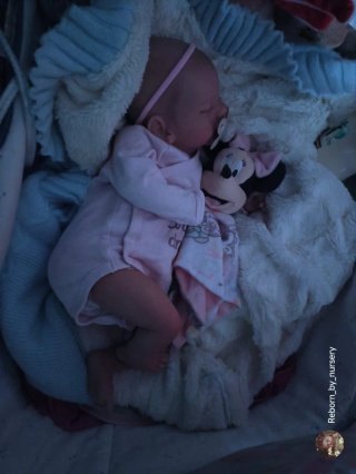 Bebe Reborn Niña