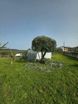 Desbroces y Jardineria