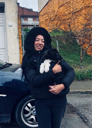 Paseo/Cuido Perros