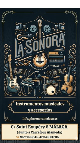 Instrumentos musicales y accesorios