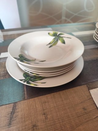 Set 6 Piatti Porcellana Decorati