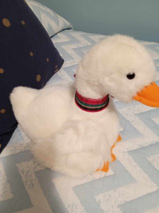 Peluche Pato Blanco con Corbata