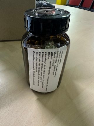 Outkovka pestrá - Coriolus versicolor BIO