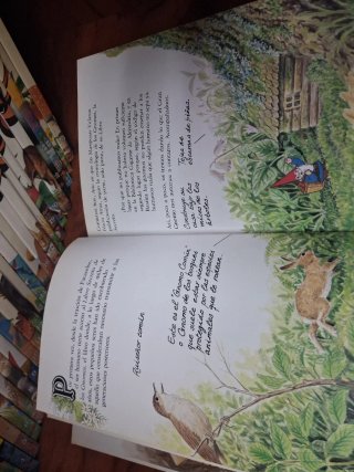 El libro Secreto de los gnomos