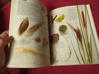 3x2 Guía del naturalista