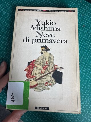 Yukio Mishima Romanzo Neve di Primavera