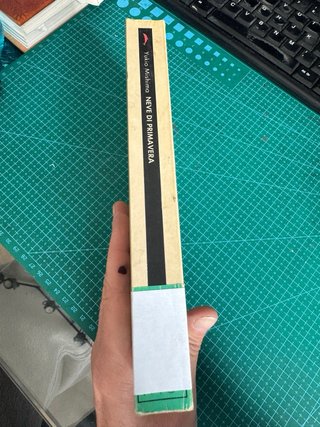 Yukio Mishima Romanzo Neve di Primavera