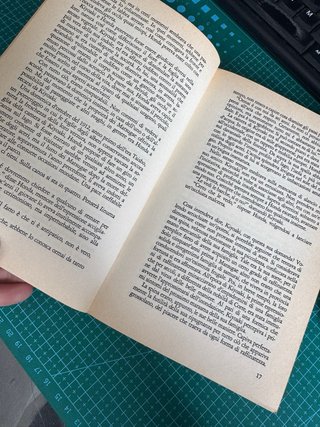 Yukio Mishima Romanzo Neve di Primavera