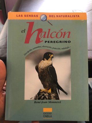 El halcón peregrino : descripción, costumbres, ...